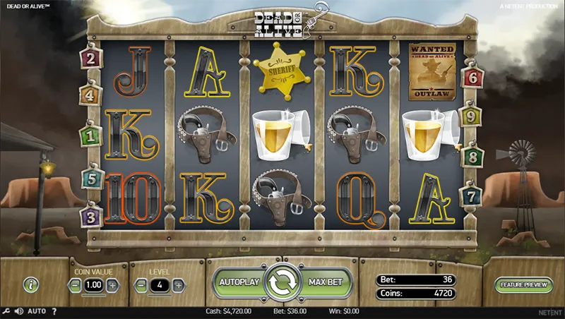 Dead or Alive automat