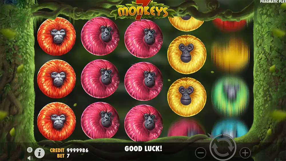 7 Monkeys
