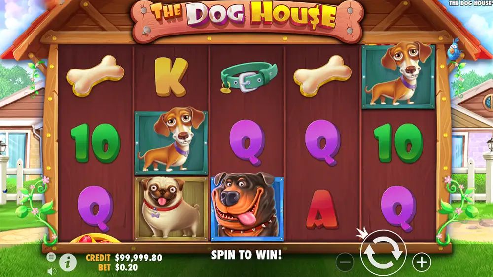 The Dog House