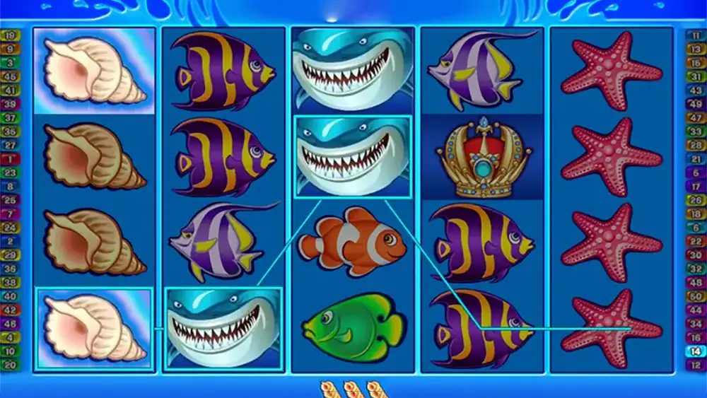Wild Shark
