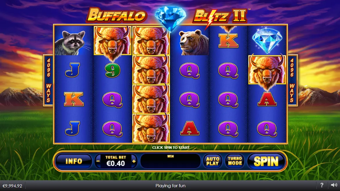Buffalo Blitz 2