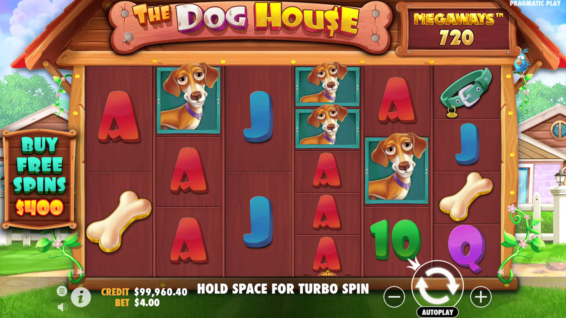 The Dog House Megaways