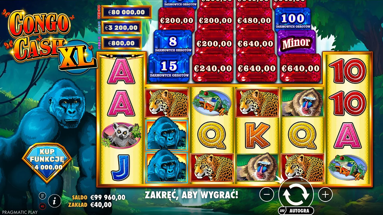 Congo Cash XL
