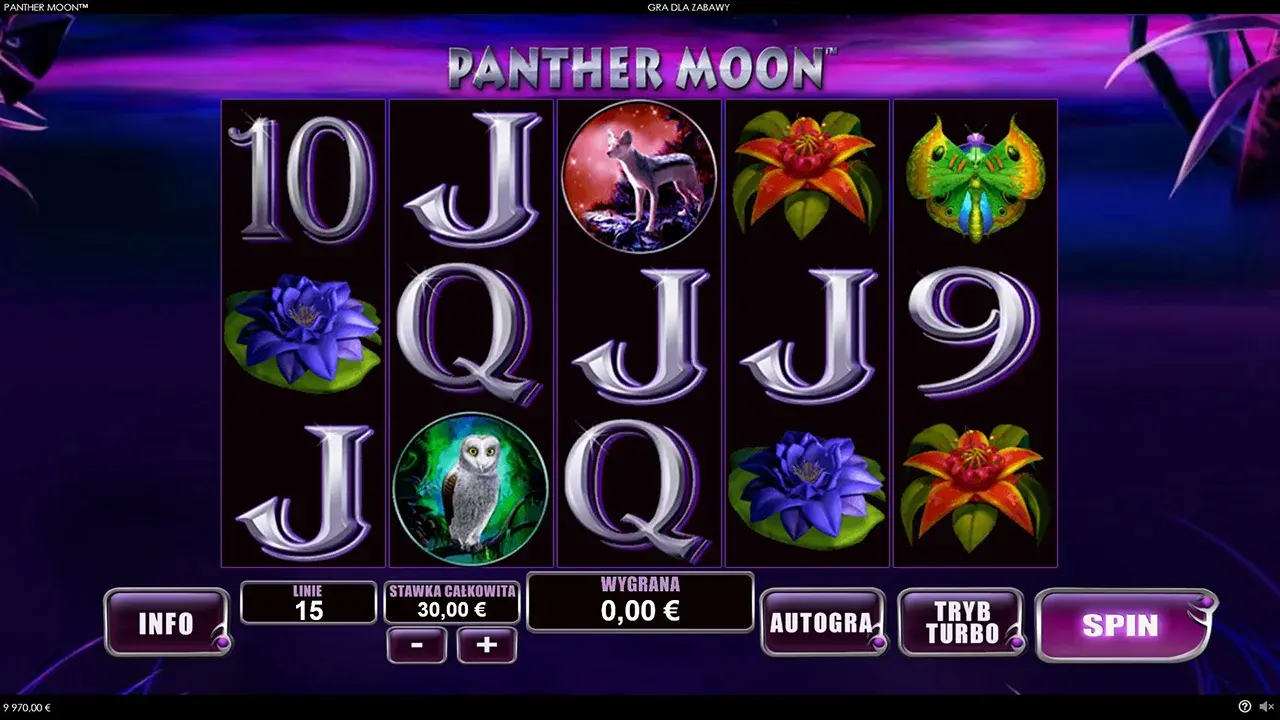 Panther Moon